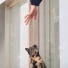 napoo_29