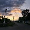 nalboma_