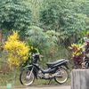 irulpong12