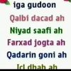 mohamedamiin796
