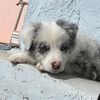 mona_j08.10