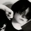 zane_trans_ftm