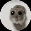kotsiosdd