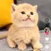 imahhafiz5
