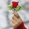 user30121971933780