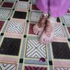 shanayakhan4486