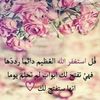 amanyfathy5017