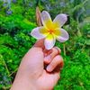 nusrat.fariha003