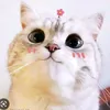 khanhhbong