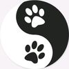 luis_pata_de_perro