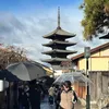 nishimido_hirumi