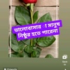 anamul.hok.bjoi