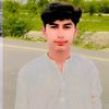 shahabmandan11