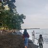 dewisuyantii