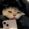 faithlauren21