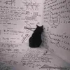 phucndtt777
