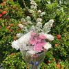 muhammad_4435
