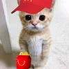 nikolijaaa__