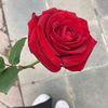 queen_a963