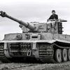 tiger1loverwot