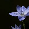 ladyk5927