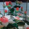 user8812800258666