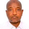 osmankingxalolu