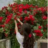 f_abeer0