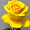user1650115161597