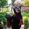 xynz_widyy