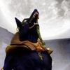 anubis920912
