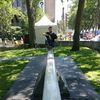 naivesquirrel