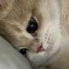 emkhongbiett.t