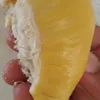 shobrirejab