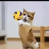 lirinh444