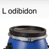 lodibidon_45