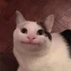 stefanieee75