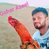 goharbhai99