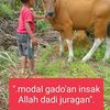 sapibalapjefri