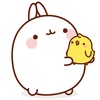 molang043