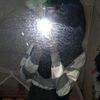 mbnylruwrrrrrrr
