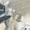 cho_cho2204