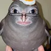 tobithicchip