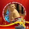 tdh935