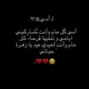 mx_s_313