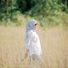cheeryy_01