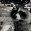 wanyiiess