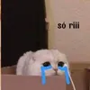 luoixuyenvuxtru