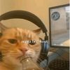 rafka.tikto