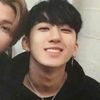 vhangbins